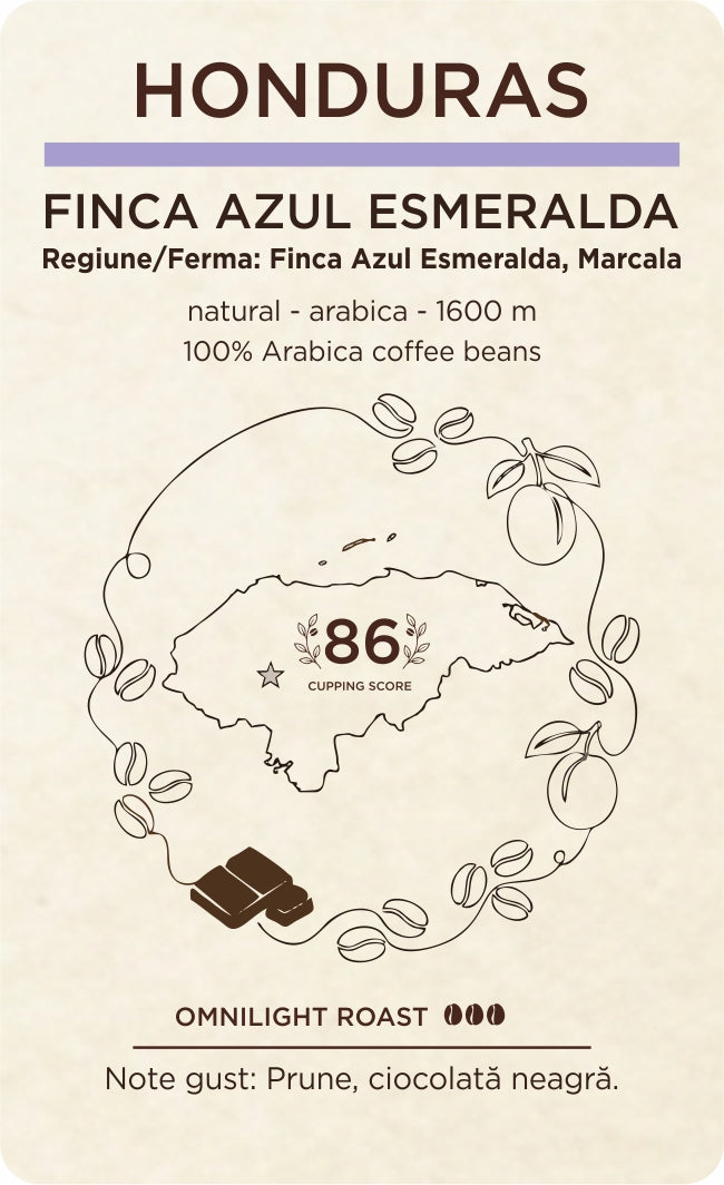 Honduras - Specialty Coffee ★ Guest Star